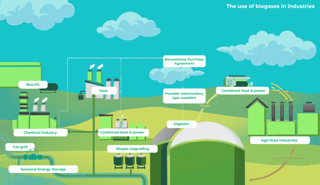 How can biogases help to decarbonise industrial processes? - Carbogenics