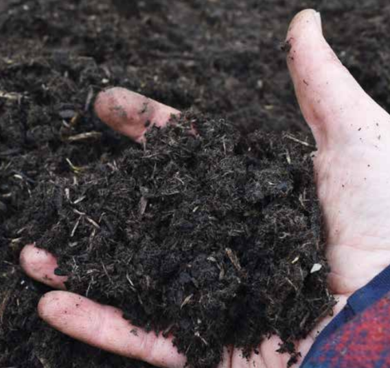 Biochar in the Soil - Hand scooping
