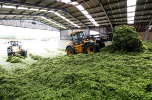 Read more about the article How Does CreChar Affect Silage and Slurry?