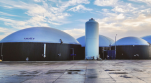 Read more about the article Boosting Your Anaerobic Digester’s Performance with Additives & Supplements