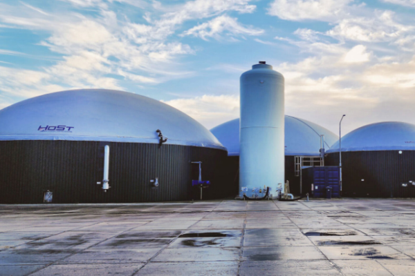 Boosting Your Anaerobic Digester’s Performance with Additives & Supplements