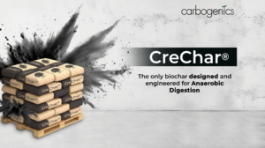 Read more about the article CreChar Case Study – Site D