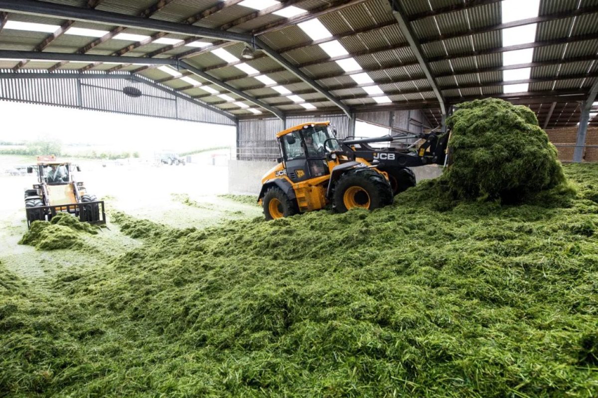 Silage and Slurry